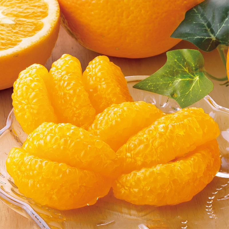 ���Q���Y�@���悩��