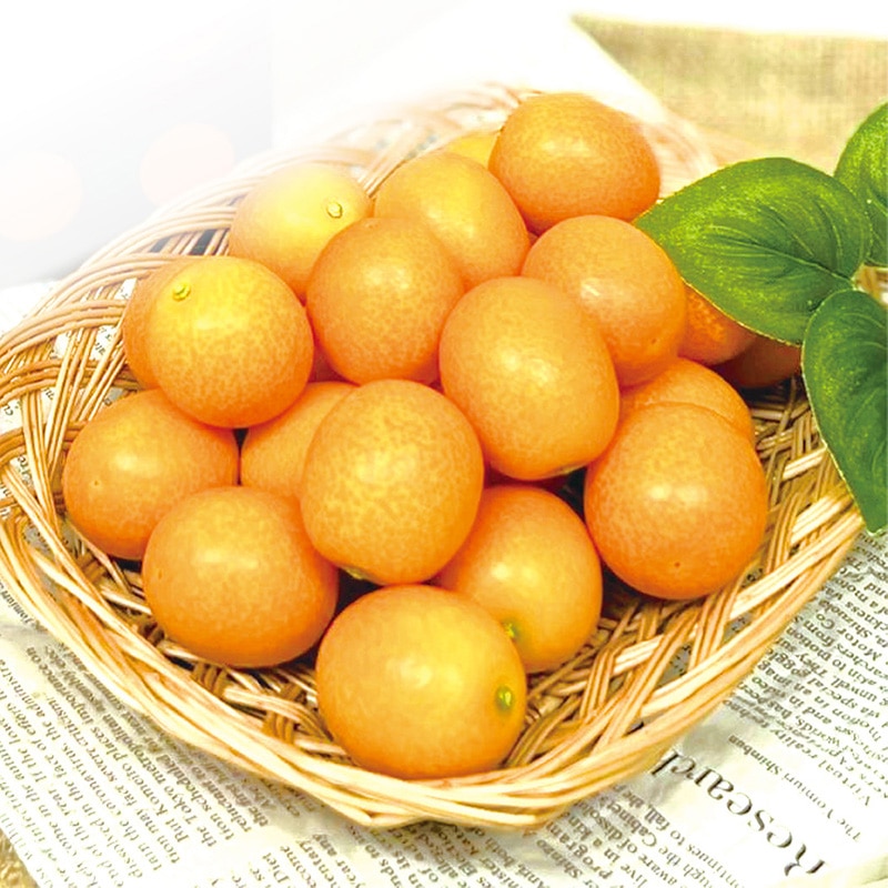 �{�茧�Y�@���n���񂩂�@���܂���