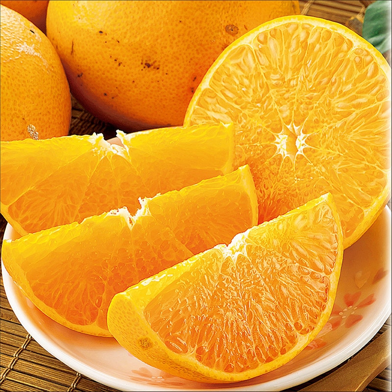 ���Q���Y�@������p�@���Ƃ�