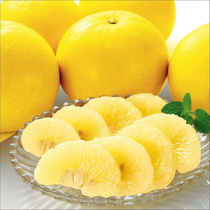 ���m���Y�@�y�����U�@�R����