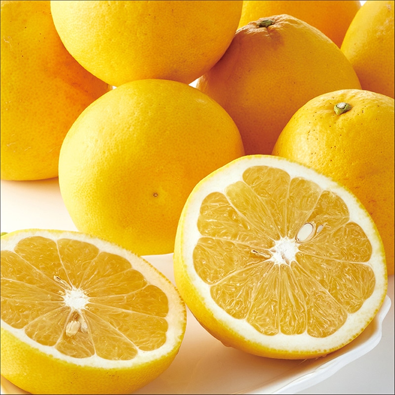 ���Q���Y�@�͓��ӊ�