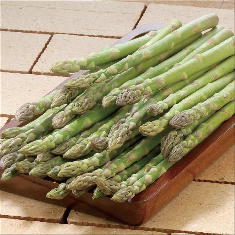 ���쌧�Y�@�A�X�p���K�X�@���ʂ��̂߂���