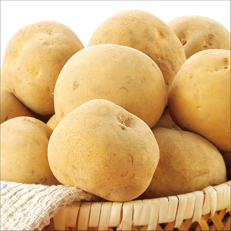 �������Y�@�V���Ⴊ�@�j�V���^�J