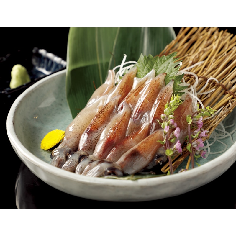 �y�Ⓚ�z�x�R�p���g���@���ق��邢��