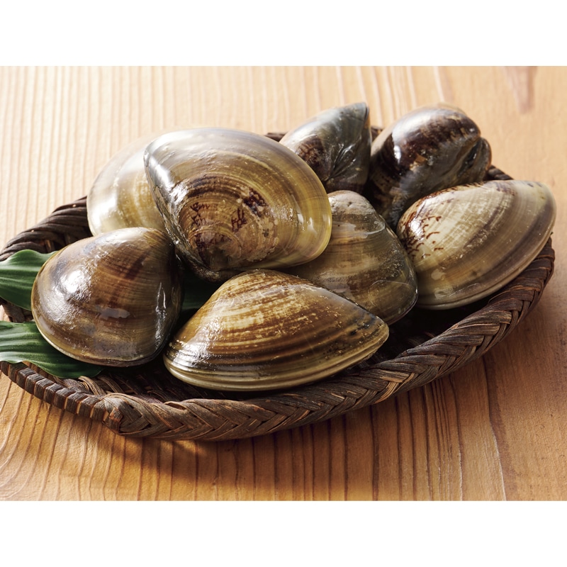 �y�Ⓚ�z���m�O�͘p�Y�u�V�R��͂܂���v�P�O�O��×�P�O��