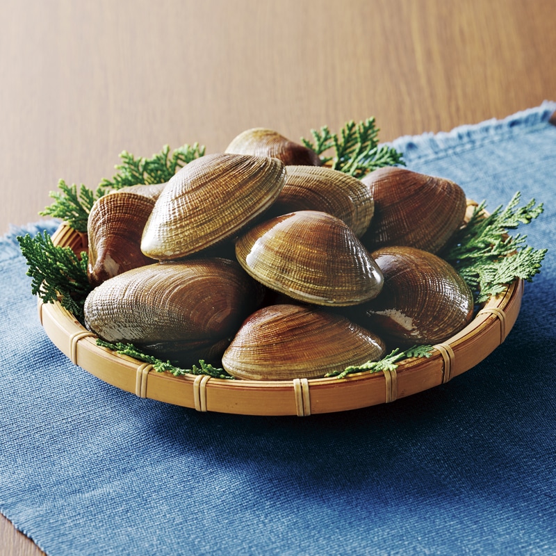 ���ݎY�@�k������i��j