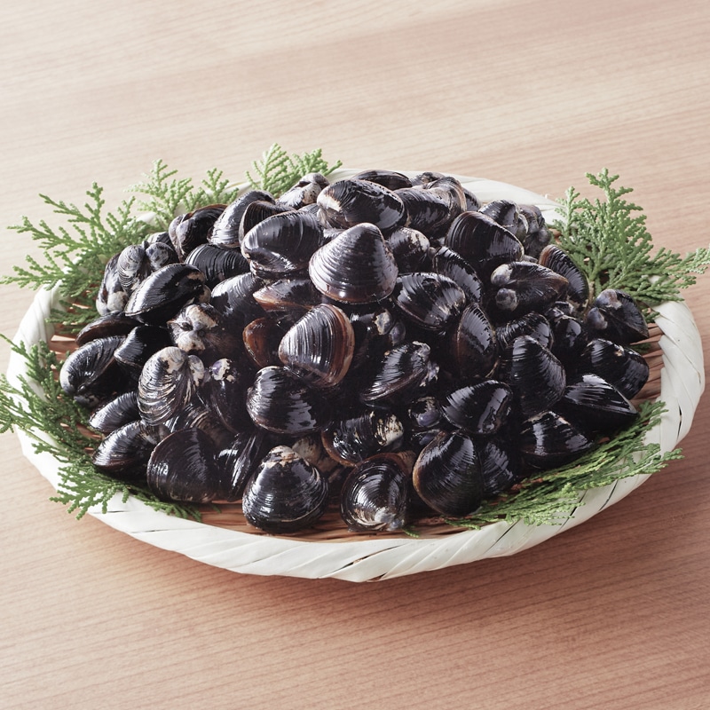 �y�Ⓚ�z�����ΎY��a������