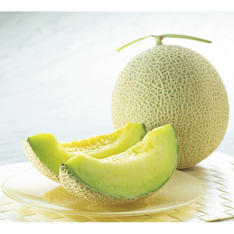 �t���[�c�}���V�F�`�t�������`