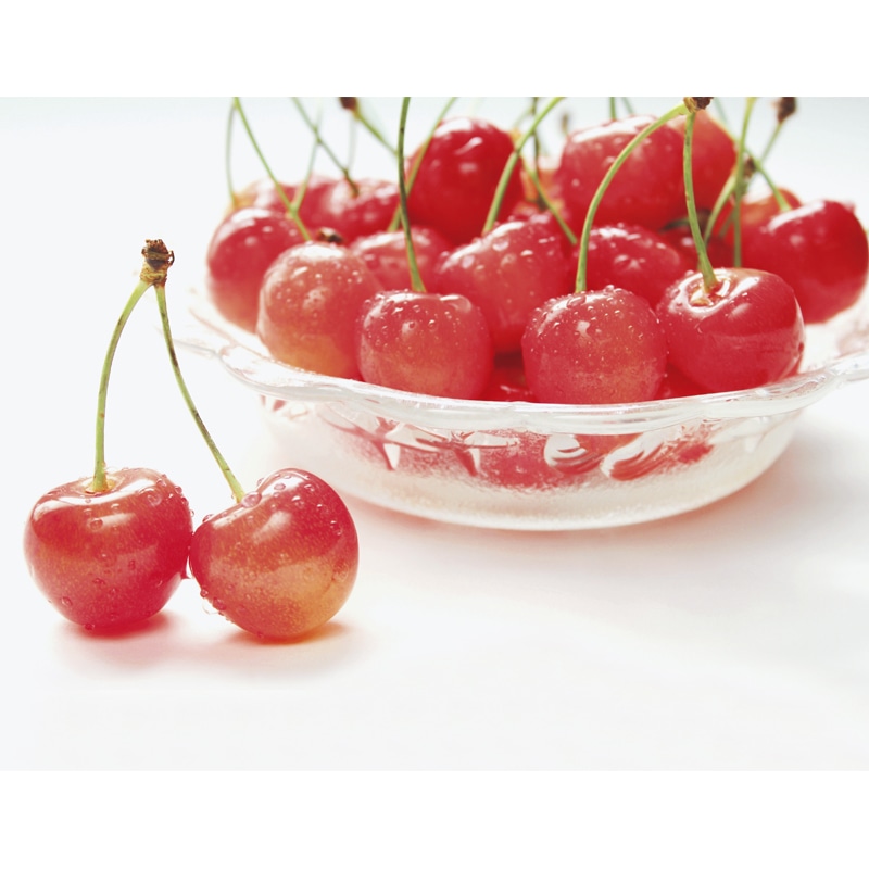 �y�n�E�X�z�R�`���Y�������ځi�����і��͍g�G��j