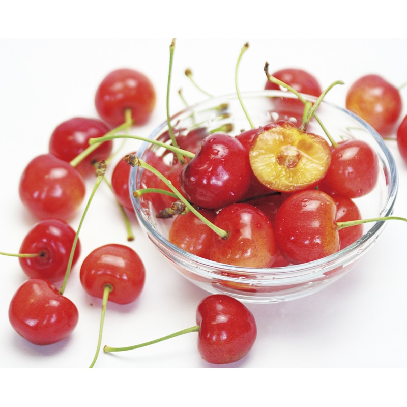 �y�n�E�X�z���傢���I�R�`��������