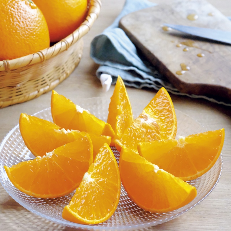 ���Q�������l�Y�@�܂�����v�����Z�X