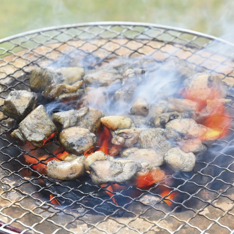 �y�Ⓚ�z�ӂ邳�ƌ{�Y�Ώ�