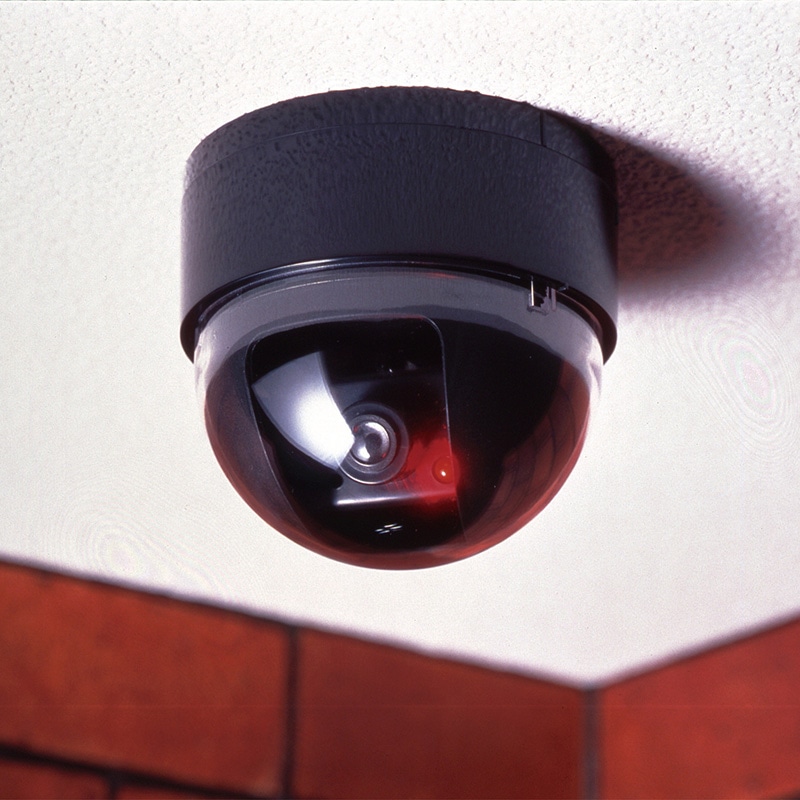 �h�[���^�h�ƃ_�~�[�J����