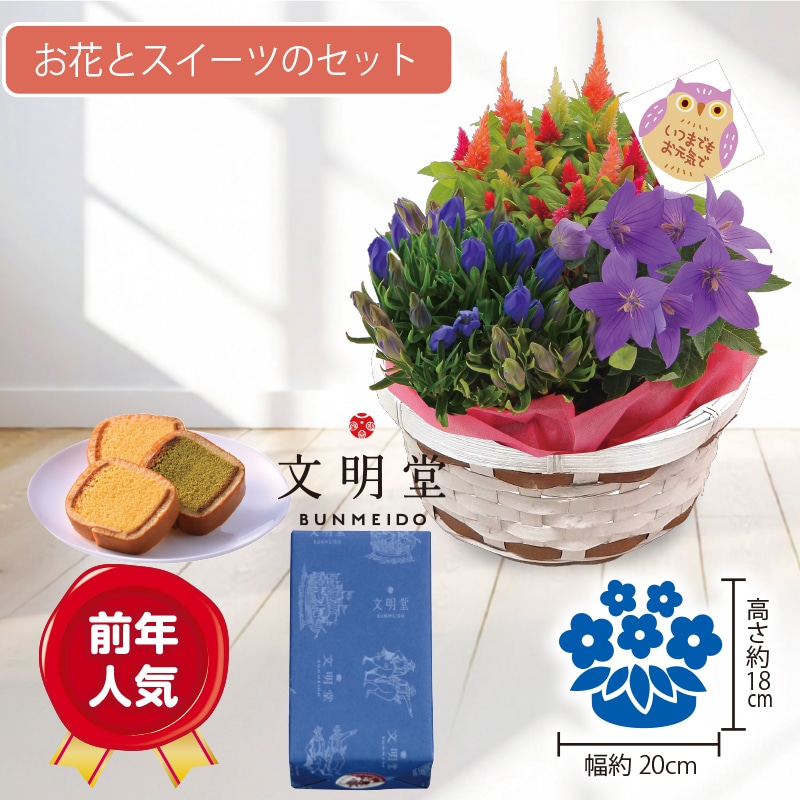 <敬老の日>秋の3種花カゴと文明堂カステラ巻