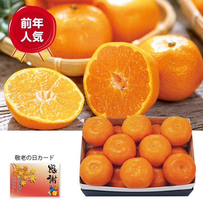 みかんの通販｜郵便局のネットショップ