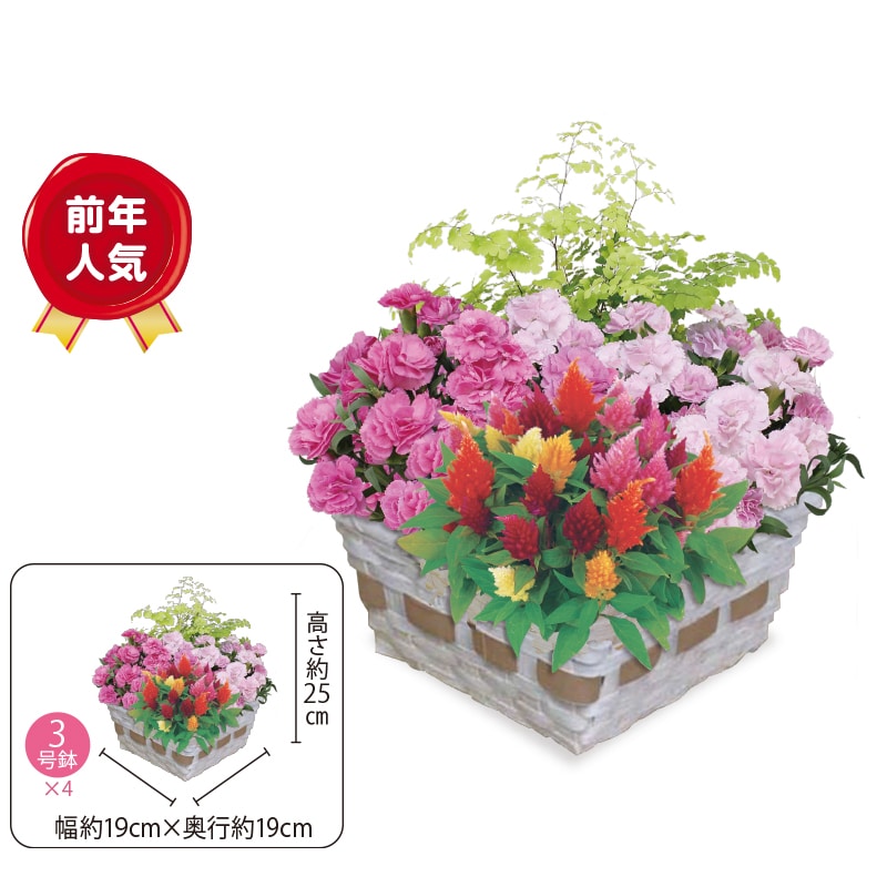 ����̓����}�U�[�Y�o�X�P�b�g