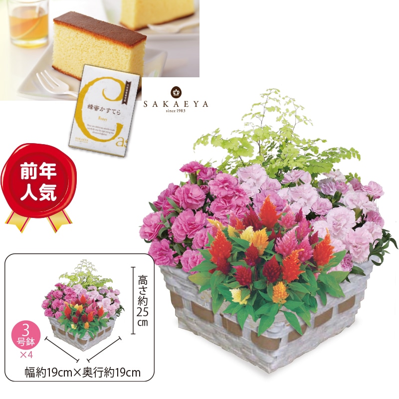 ����̓����}�U�[�Y�o�X�P�b�g�@�I�������Ă�i�T�؂�j