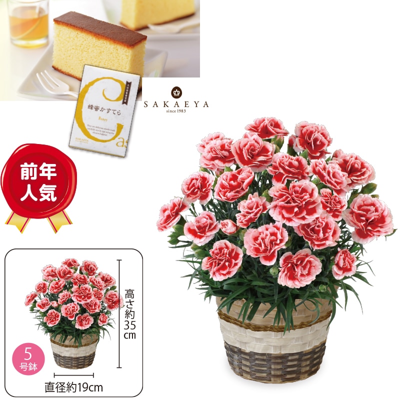 ����̓����J�[�l�[�V�����u�������z�C�b�v�v�@�I�������Ă�i�T�؂�j