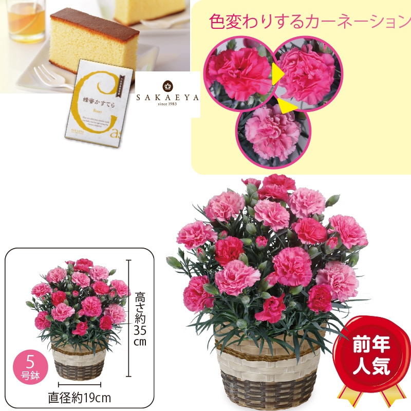 ����̓����J�[�l�[�V�����u��������Ȃ��v�@�I�������Ă�i�T�؂�j