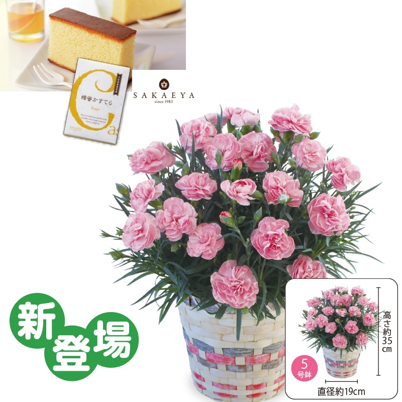 ����̓����J�[�l�[�V�����u�A�v���V�A�v�@�I�������Ă�i�T�؂�j