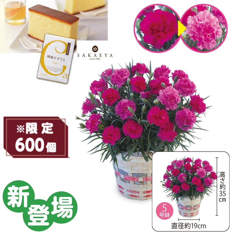 ����̓����J�[�l�[�V�����u�x���[�}�t�B���v�@�I�������Ă�i�T�؂�j