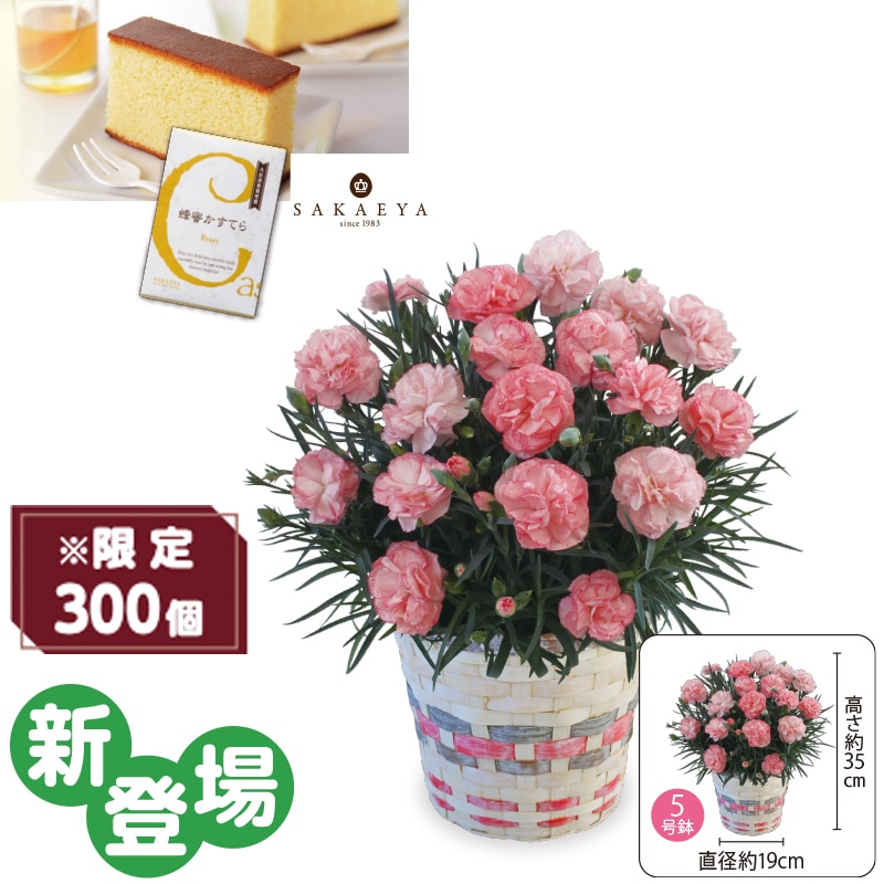 ����̓����J�[�l�[�V�����u���[�Y���e�v�@�I�������Ă�i�T�؂�j