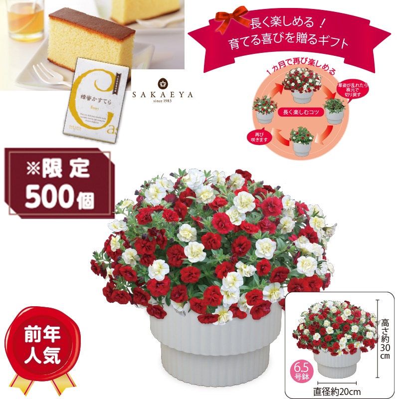 ����̓����X�[�p�[�x���u�_�u�����b�h���z���C�g�v�@�I�������Ă�i�T�؂�j