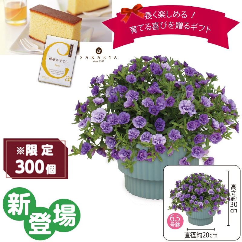 ����̓����X�[�p�[�x���u�_�u���u���[�v�@�I�������Ă�i�T�؂�j