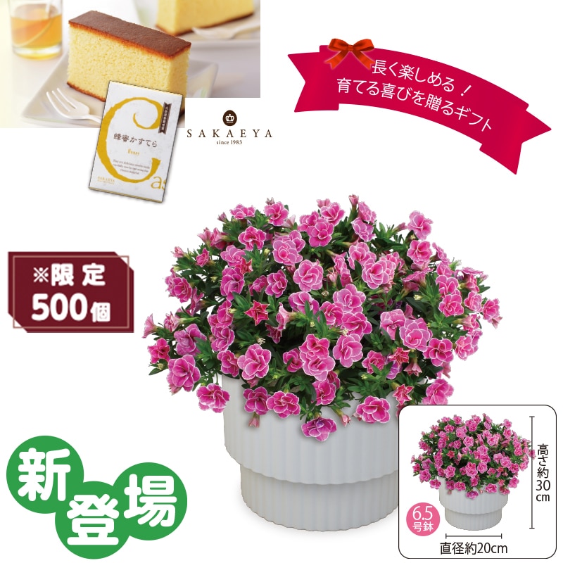 ����̓����X�[�p�[�x���u�_�u���s���N�v�@�I�������Ă�i�T�؂�j