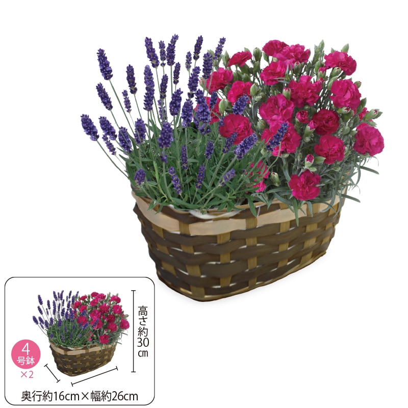 ����̓����J�[�l�o�b�N�u�X�E�B�[�g�t���O�����X�v