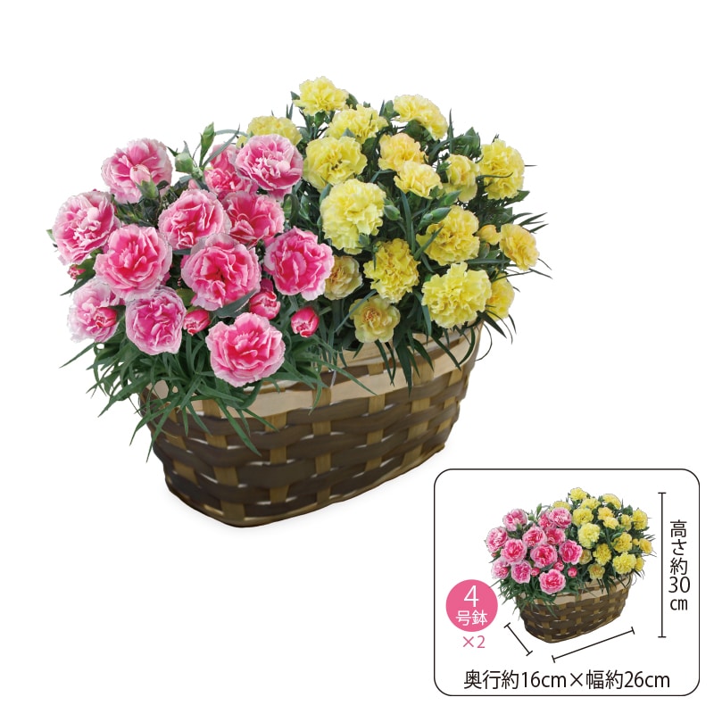 ����̓����J�[�l�o�b�N�u�X�v�����O�J���[�v