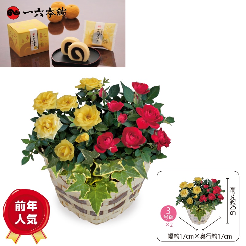 ����̓������[�Y�|�b�g�ƈ�Z�^���g