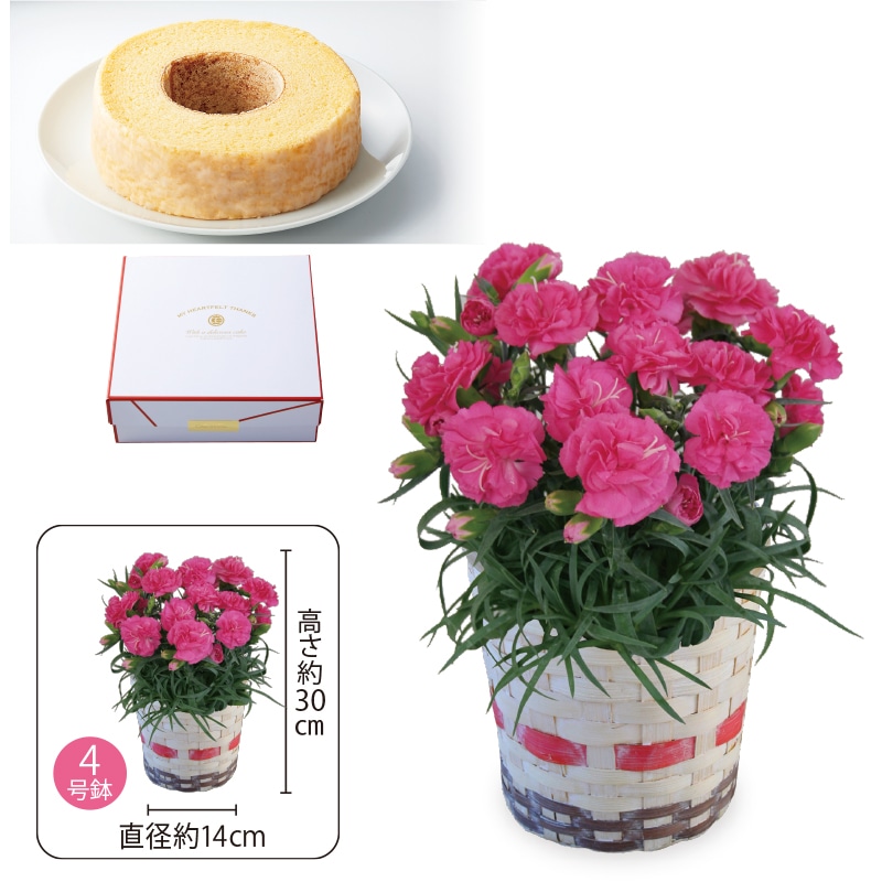 ����̓����J�[�l�[�V�����ƃo�[���N�[�w��