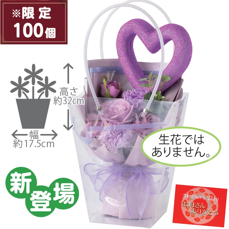 ����̓����p�[�v���\�[�v�t�����[�@�n�[�g�s�b�N�t