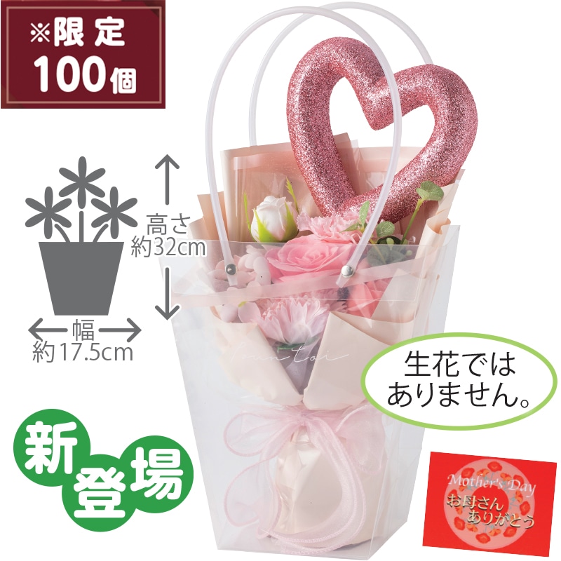 ����̓����s���N�\�[�v�t�����[�@�n�[�g�s�b�N�t