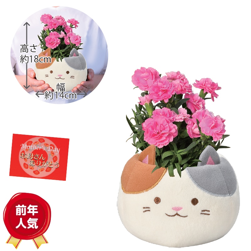 ����̓����O�єL�J�[�l�[�V����