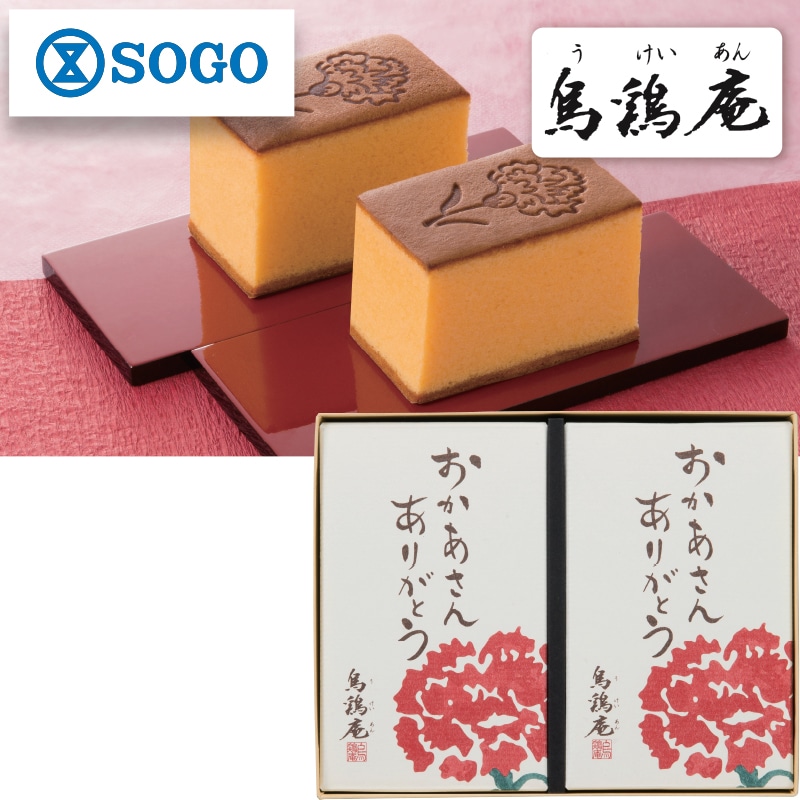 ����̓����G���{�����Ă���P�D�T����̓��Z�b�g