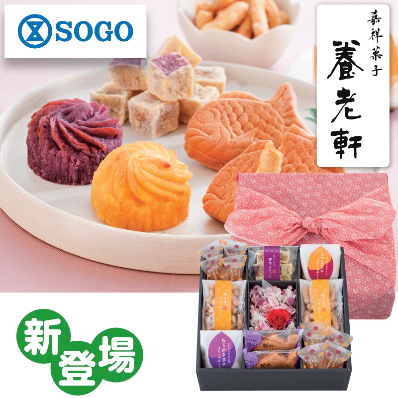 ����̓������s�@�{�V���@�����Â����@�S�΂���