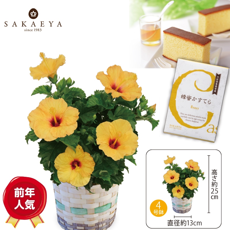 �����̓����n�C�r�X�J�X�ƖI�������Ă�