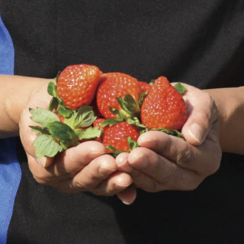 �ፑ���n�������@�z��P�@�R�T�O��