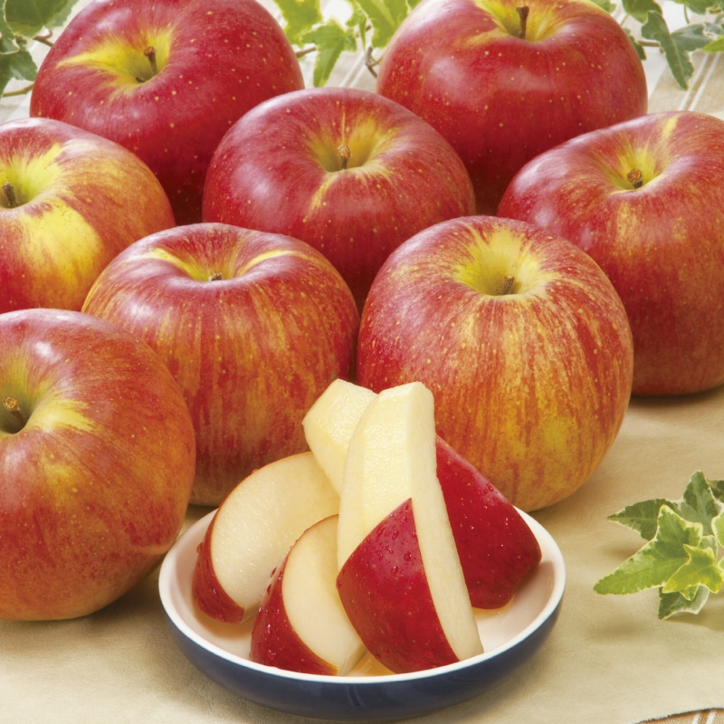 ゆこりんご 楽天市場】【ふるさと納税】富士りんご 秀 5kg fz18-135 リンゴ