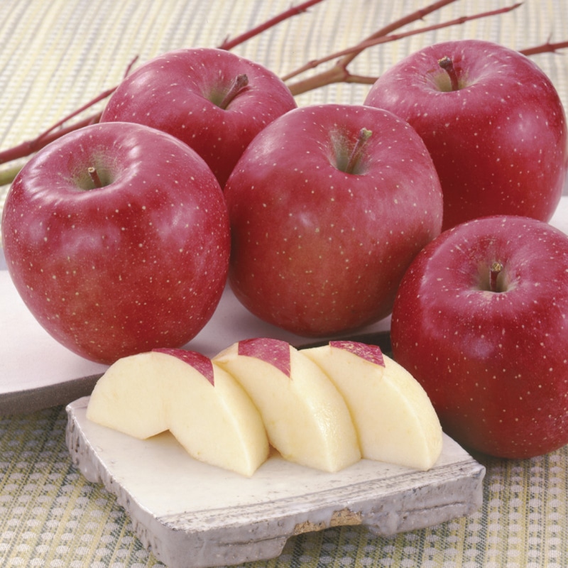 �X���Y�T���ӂ�