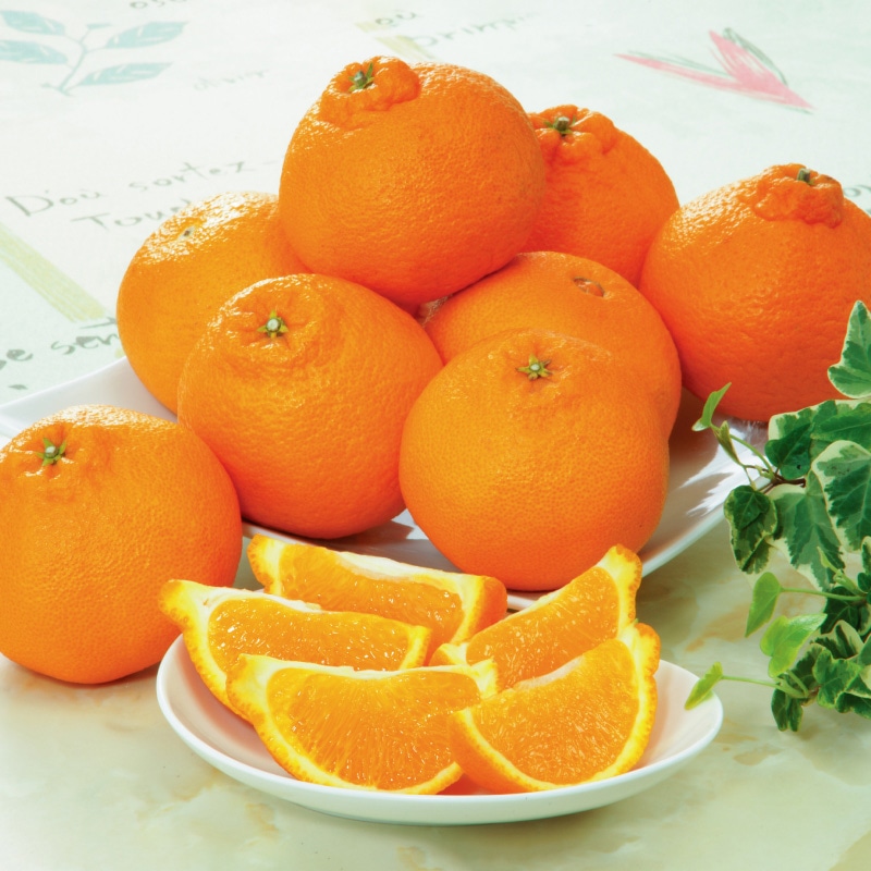 �؏n�f�R�|���@�Q����