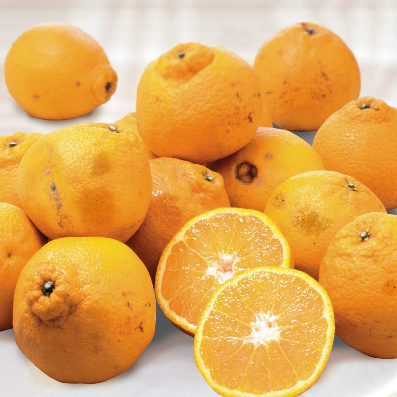 �󂠂�s�m�΁@�Q����