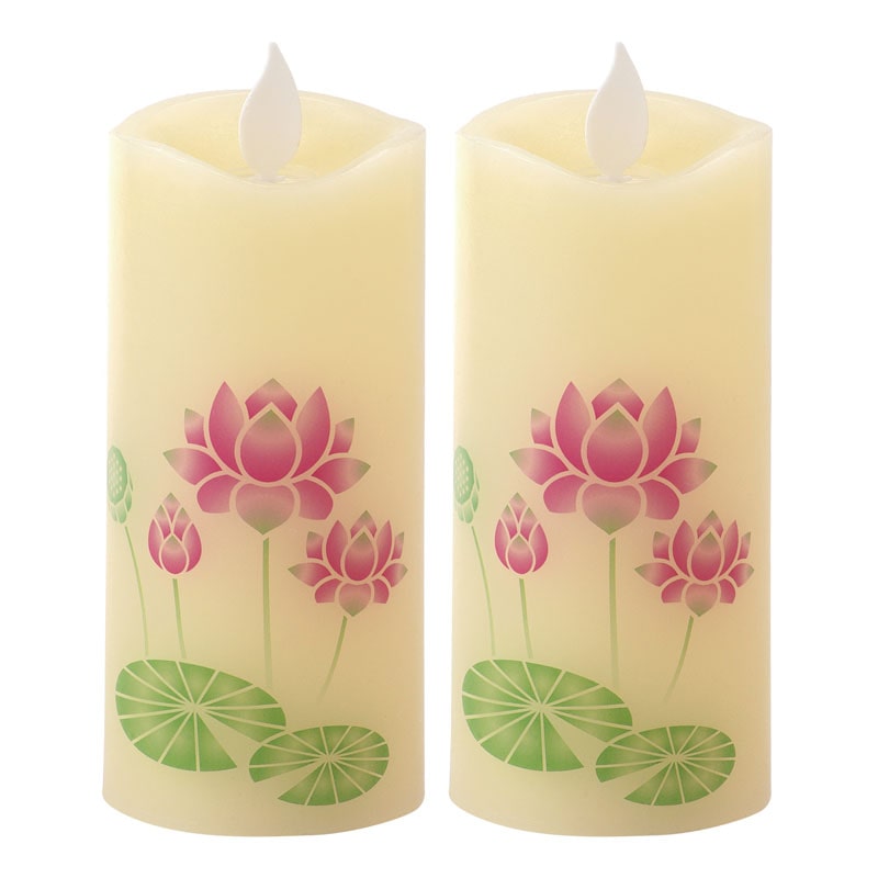 �J�����}�@�i���@����͂�����r�@�@�y�����p�z