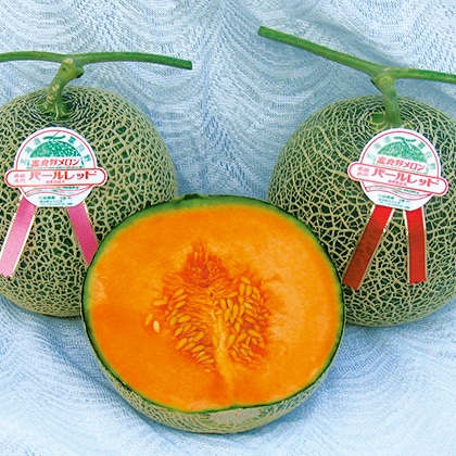 �x�ǖ�p�[�����b�h�������@�P��