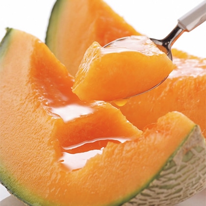 �x�ǖ상�����Q�l��