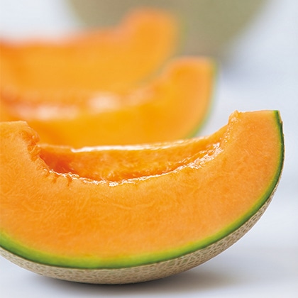 �k�C�����I�ԓ����������ʁ@�Q��