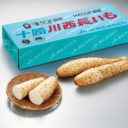 �\���쐼�������@�Q�D�T����