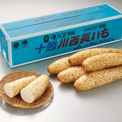 �\���쐼�������@�T����